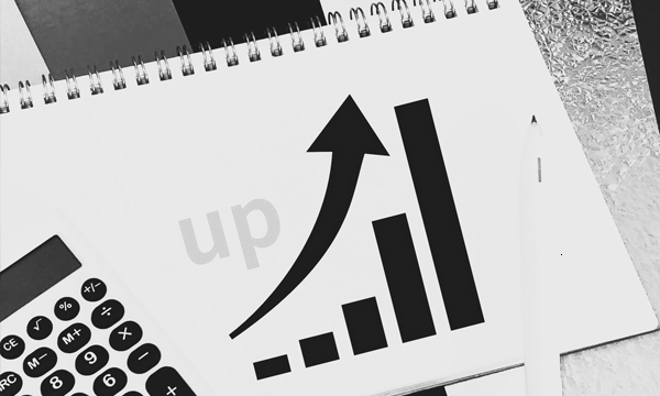 要因③　インフレ